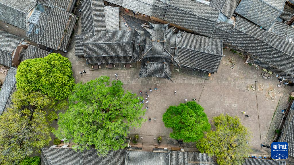 传统村落人文影像志｜沙溪镇：茶马古道千年古镇的“新生密码”