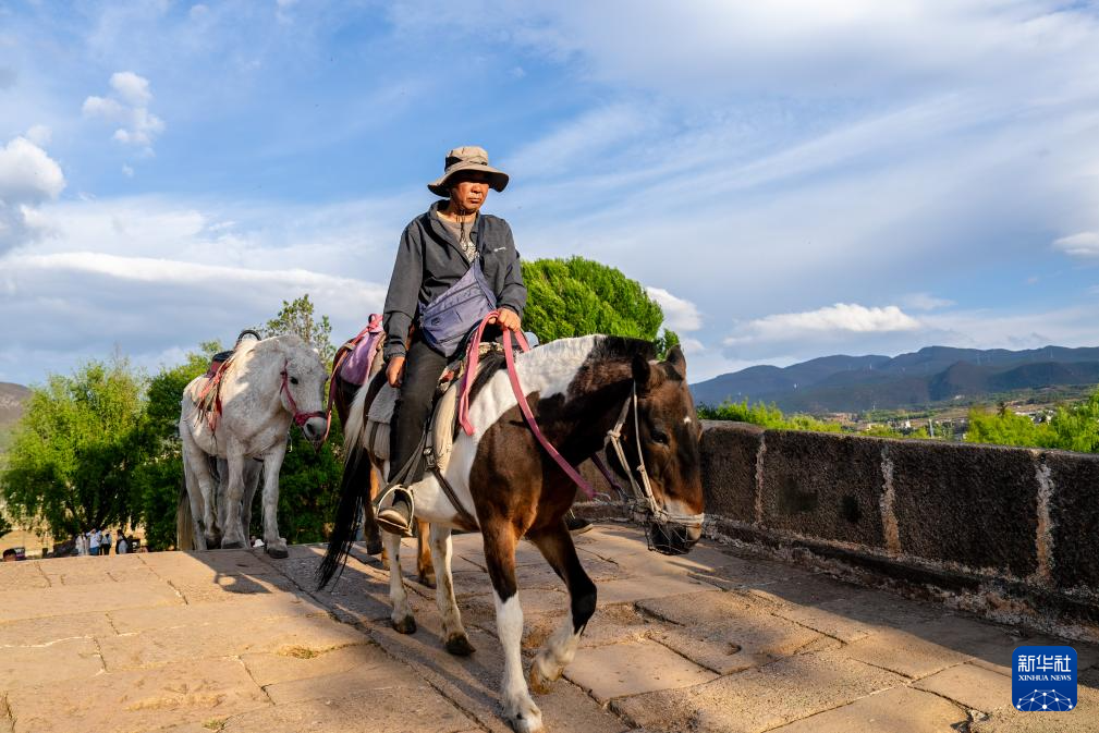 传统村落人文影像志｜沙溪镇：茶马古道千年古镇的“新生密码”