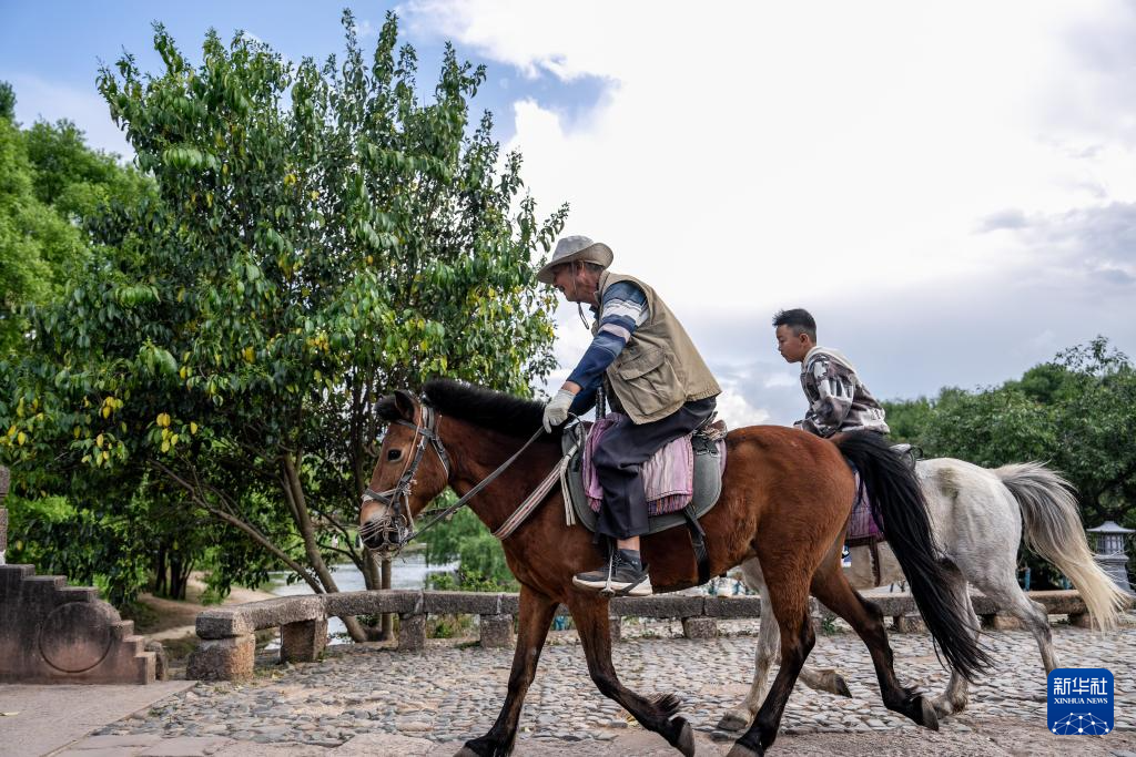 传统村落人文影像志｜沙溪镇：茶马古道千年古镇的“新生密码”