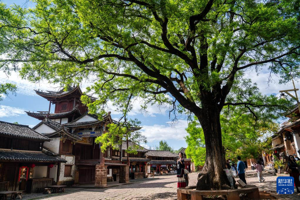 传统村落人文影像志｜沙溪镇：茶马古道千年古镇的“新生密码”