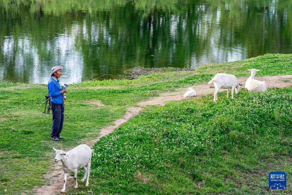 传统村落人文影像志｜沙溪镇：茶马古道千年古镇的“新生密码”