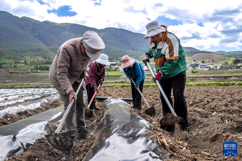 传统村落人文影像志｜沙溪镇：茶马古道千年古镇的“新生密码”