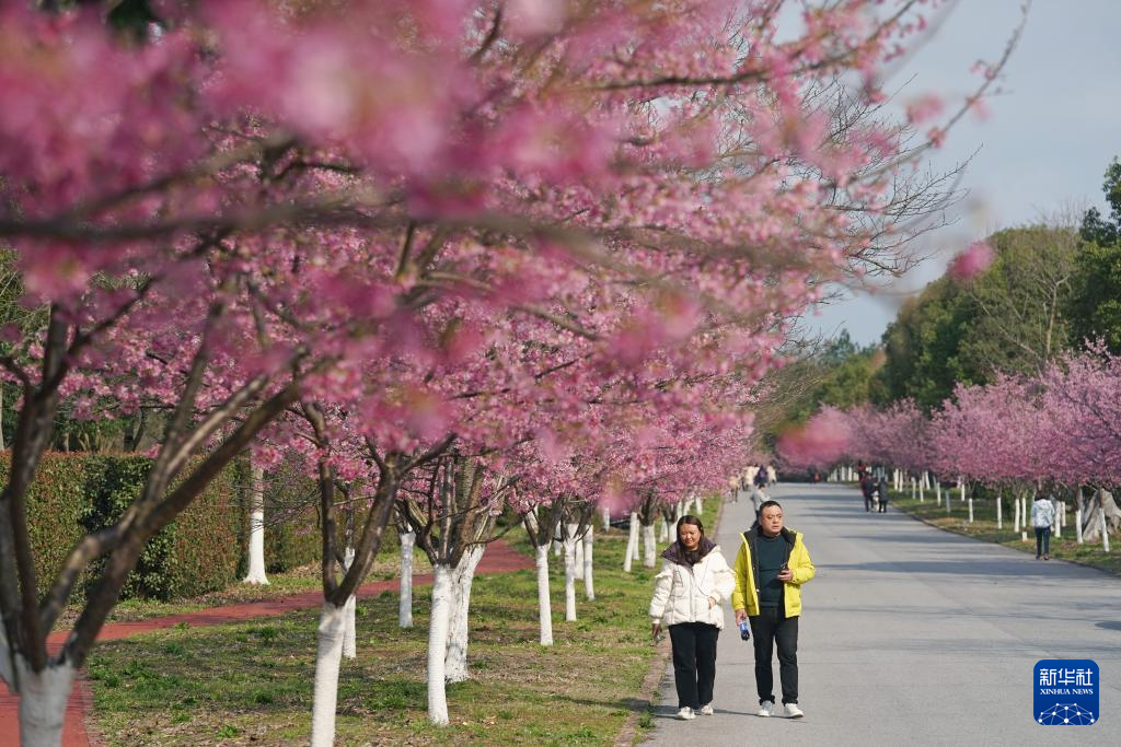 智绘中国·世遗镜鉴｜龙虎山：文旅开发与生态保护两相宜
