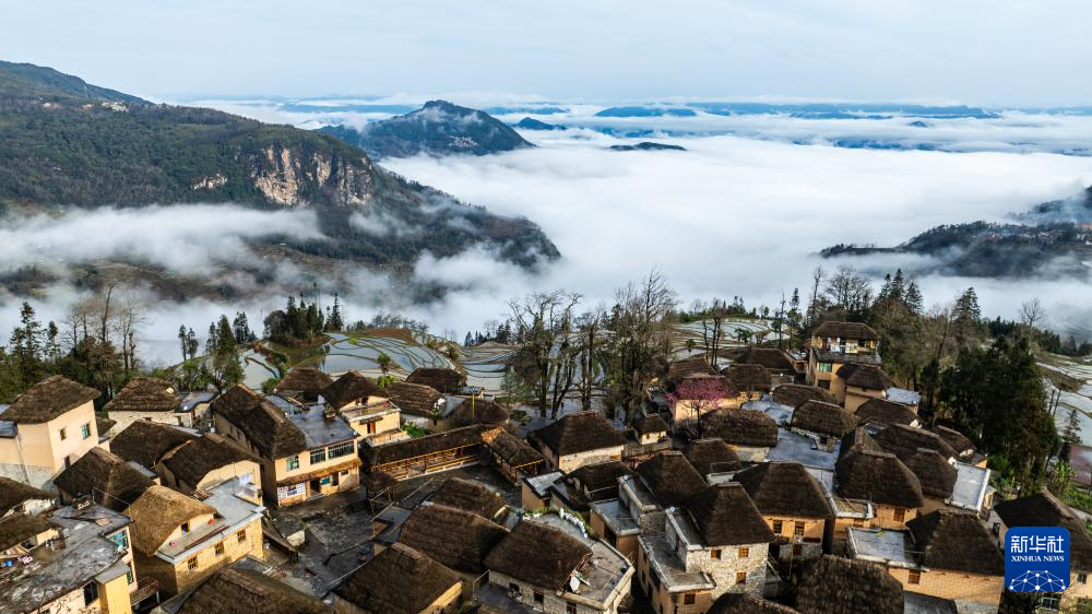 智绘中国·世遗镜鉴|红河哈尼梯田续写农耕文明新传奇