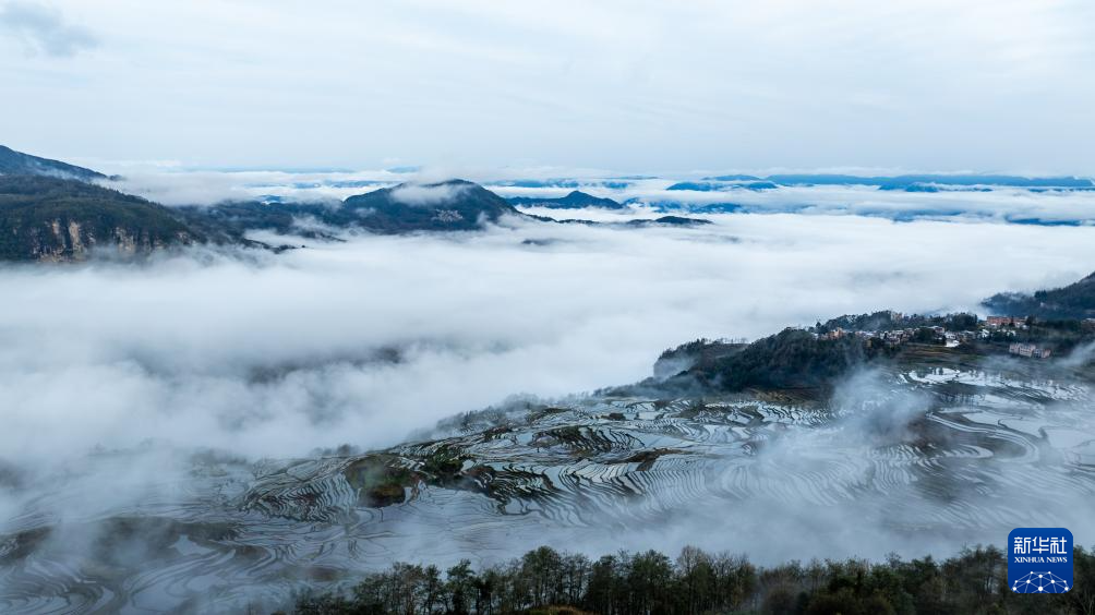 智绘中国·世遗镜鉴|红河哈尼梯田续写农耕文明新传奇