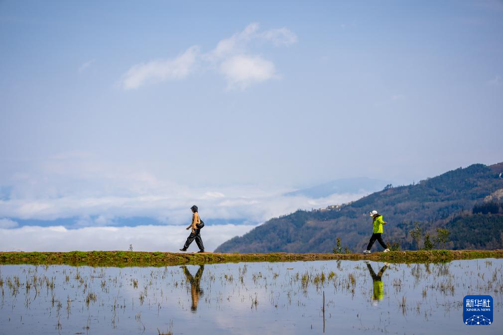 智绘中国·世遗镜鉴|红河哈尼梯田续写农耕文明新传奇