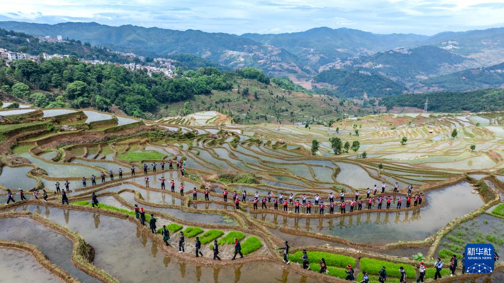 智绘中国·世遗镜鉴|红河哈尼梯田续写农耕文明新传奇