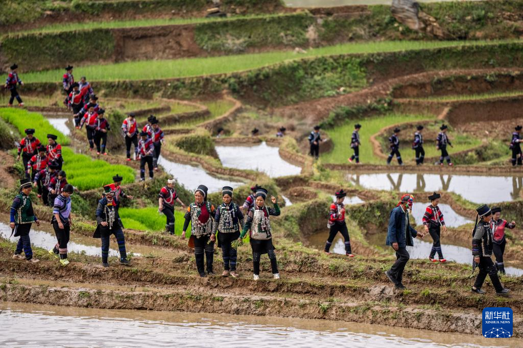 智绘中国·世遗镜鉴|红河哈尼梯田续写农耕文明新传奇
