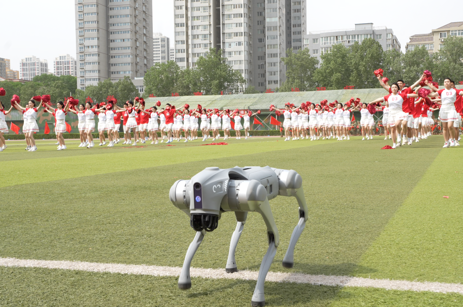 蓝天文化丨这场军事体育运动会,每帧都是战斗力!