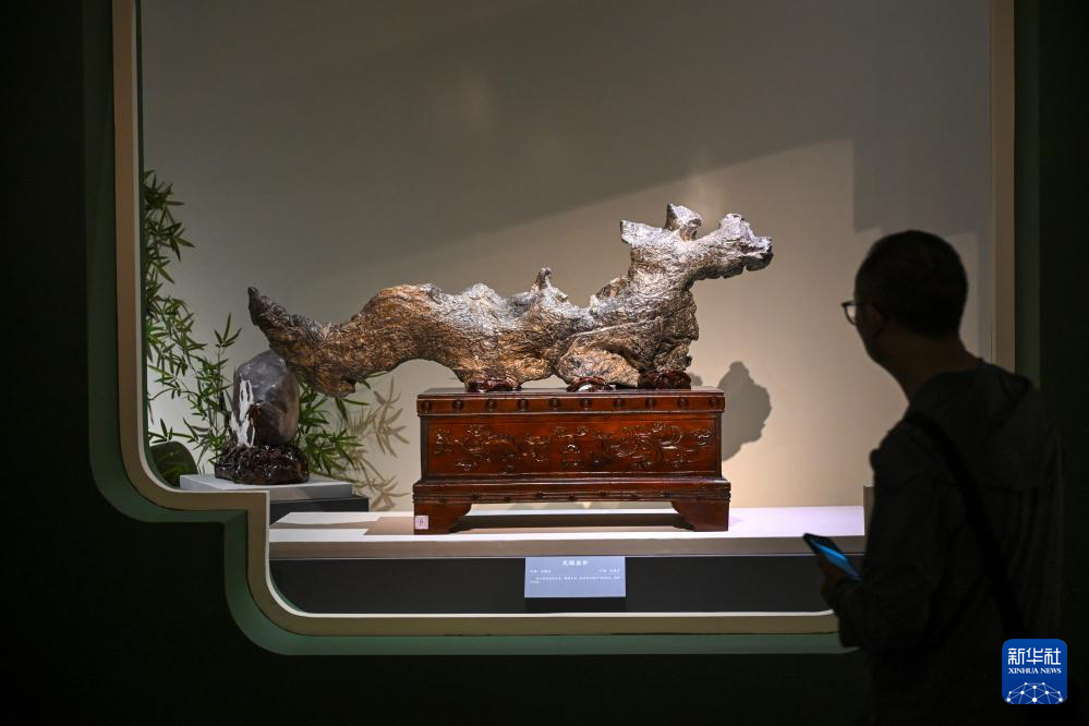 “石韵天成——中国观赏石艺术展”在国博开幕