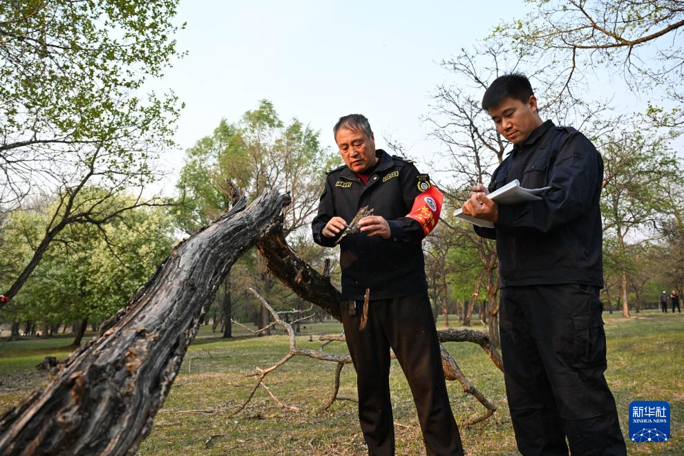图片故事|大兴安岭的生物多样性守护者