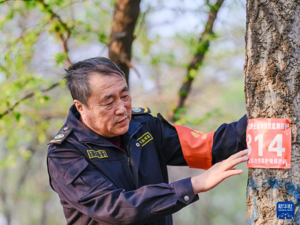 图片故事|大兴安岭的生物多样性守护者