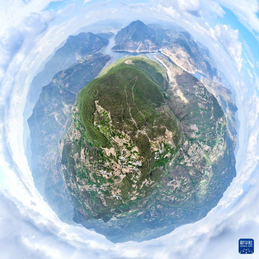 濒危物种绿孔雀人工繁育与野化放归试验取得关键进展