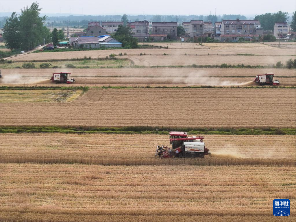 江苏盱眙:种粮大户喜获丰收