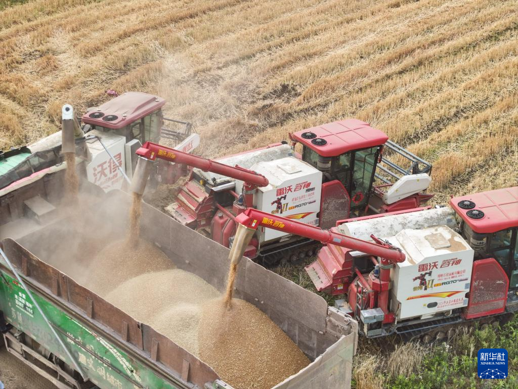江苏盱眙:种粮大户喜获丰收