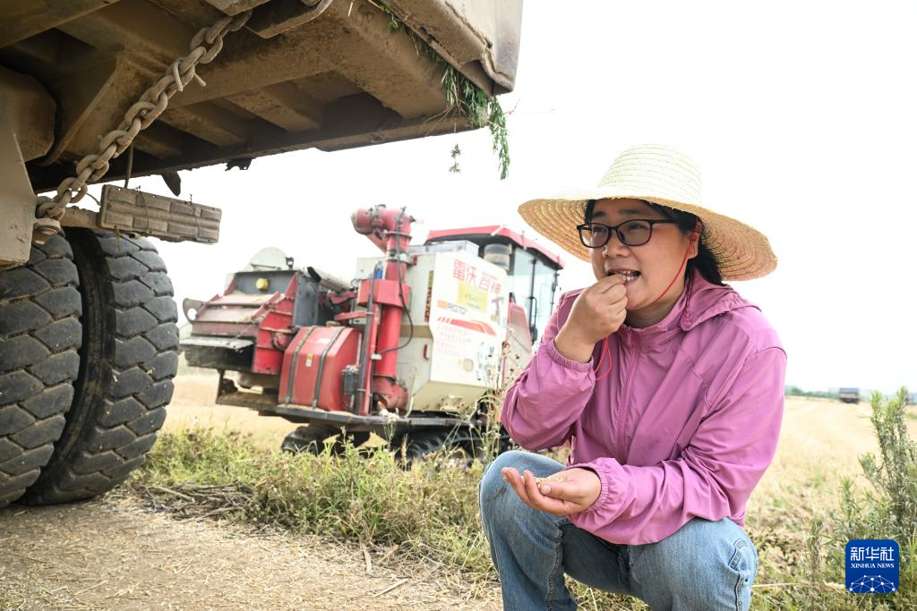 江苏盱眙:种粮大户喜获丰收