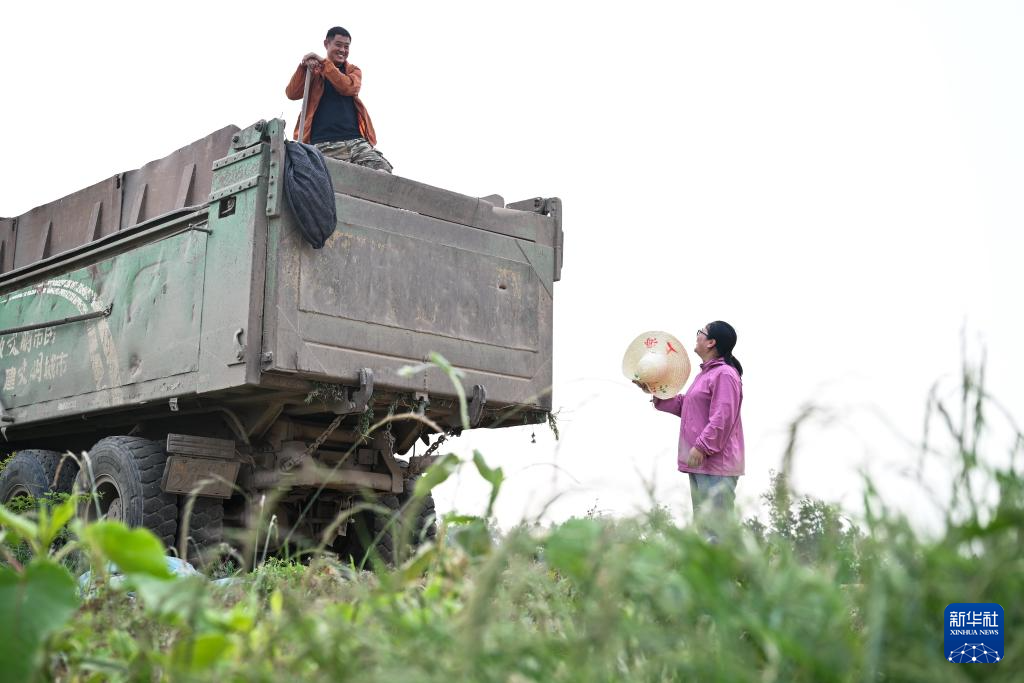 江苏盱眙:种粮大户喜获丰收