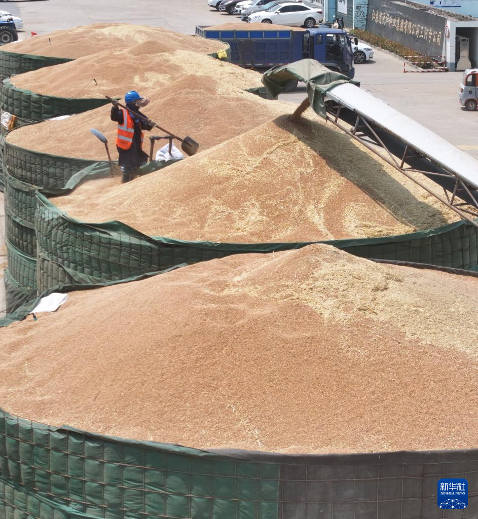 江苏盱眙:三河农场夏收夏种忙