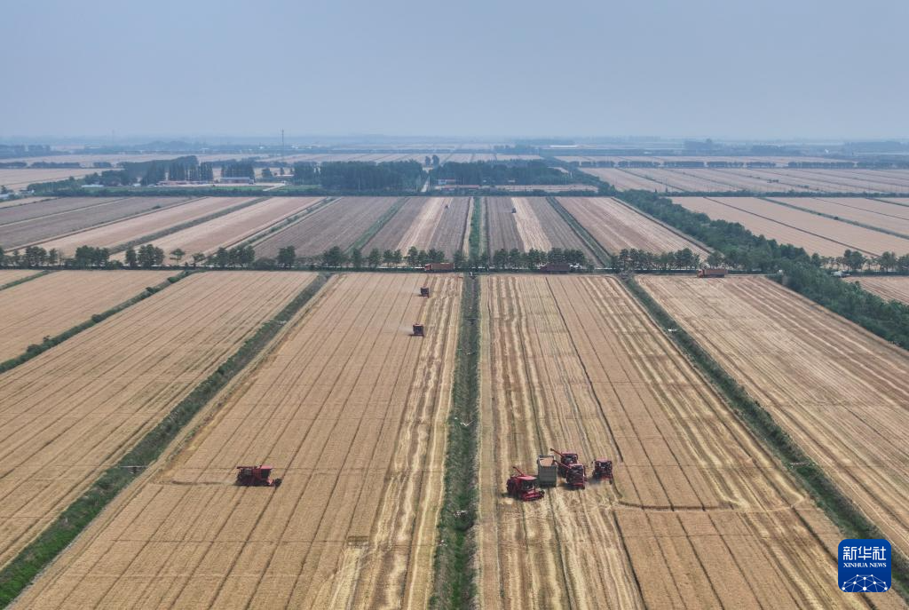 江苏盱眙:三河农场夏收夏种忙