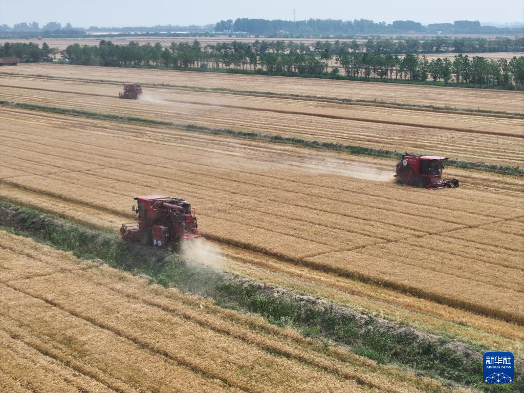 江苏盱眙:三河农场夏收夏种忙