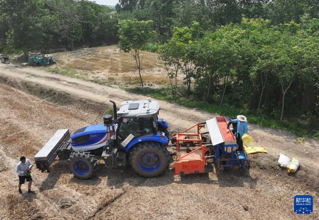 江苏盱眙:三河农场夏收夏种忙