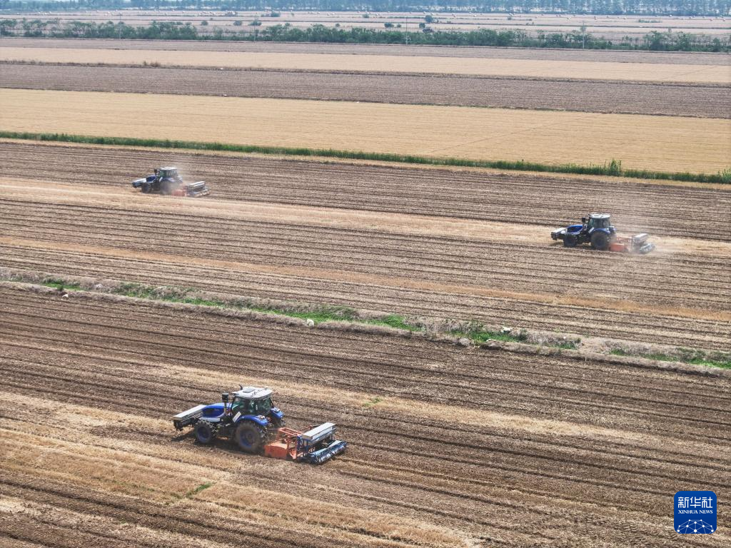 江苏盱眙:三河农场夏收夏种忙
