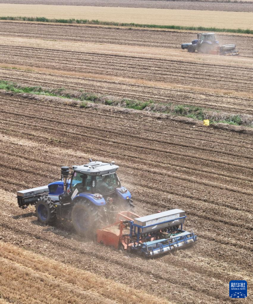 江苏盱眙:三河农场夏收夏种忙