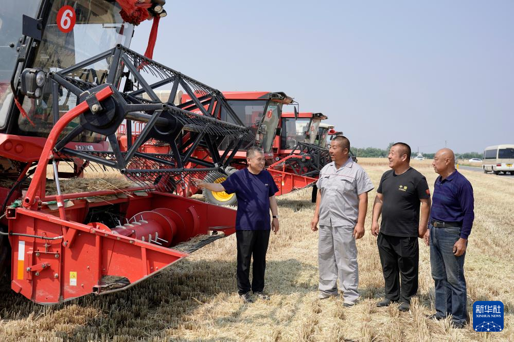 多种粮 种好粮——晋南“麦田夫妻档”忙夏收