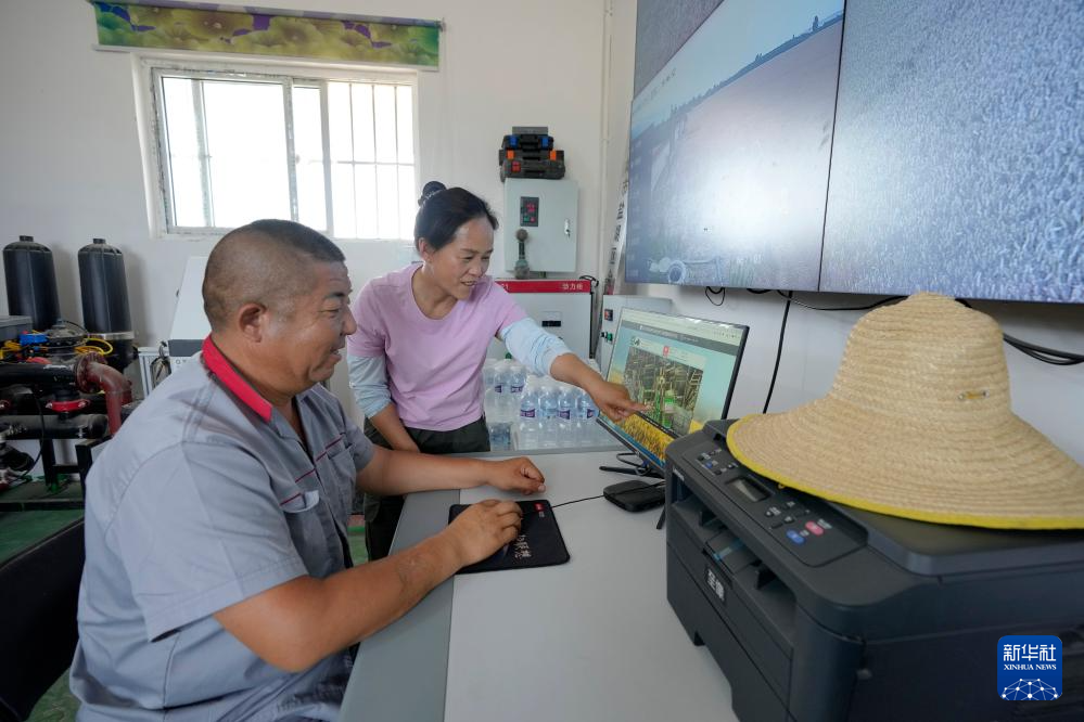 多种粮 种好粮——晋南“麦田夫妻档”忙夏收