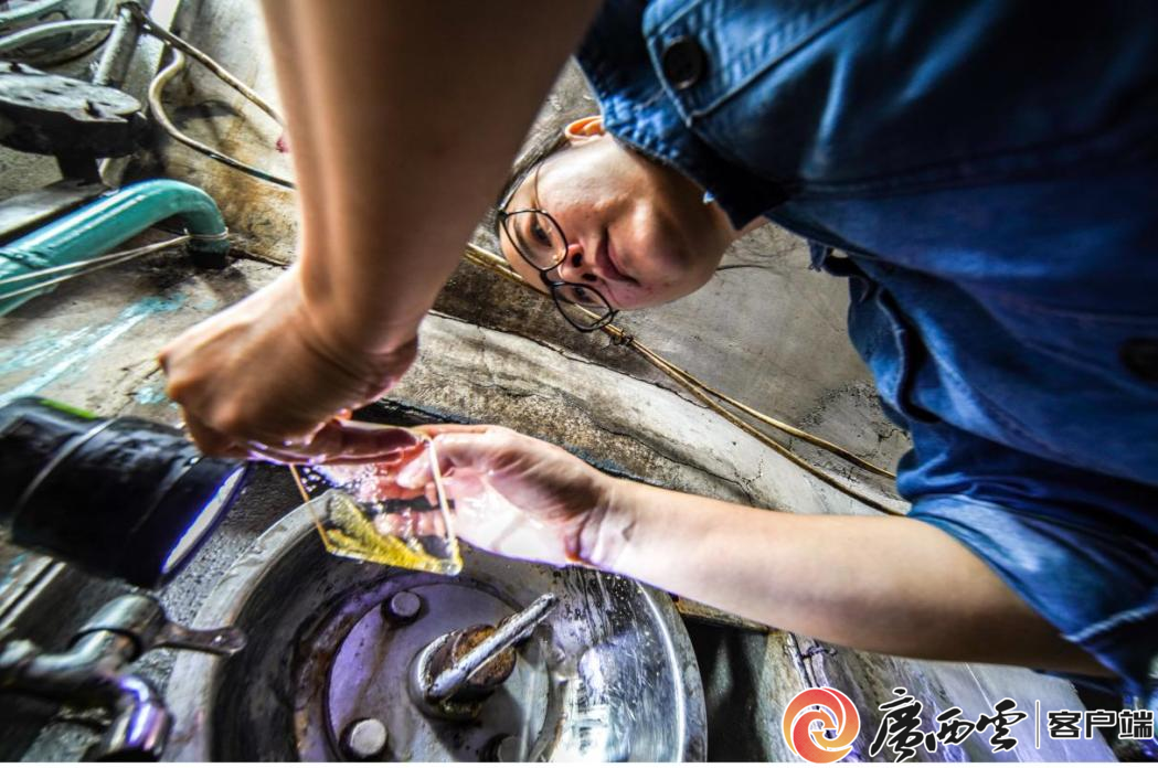 镜头下的现代糖企，科技赋能甜蜜产业