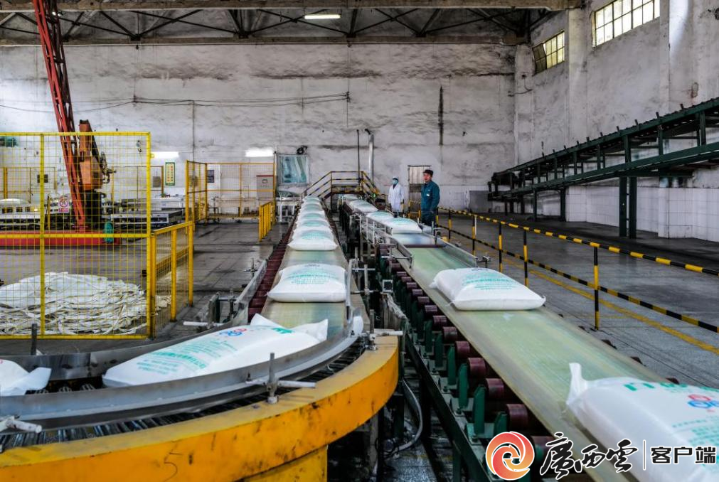 镜头下的现代糖企，科技赋能甜蜜产业