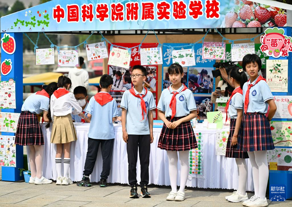 白塔下放歌迎“六一”