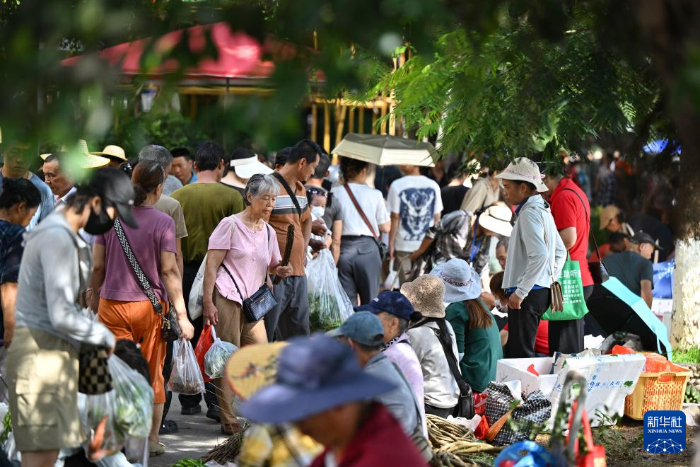 海南:山城好物 消费助农