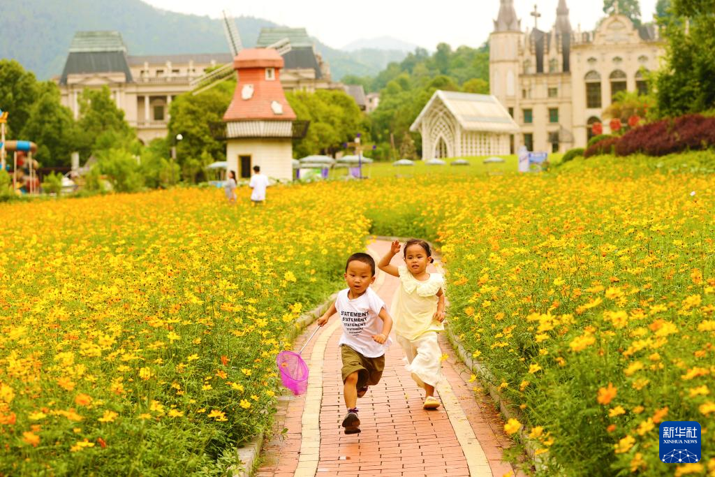 花“漾”夏日