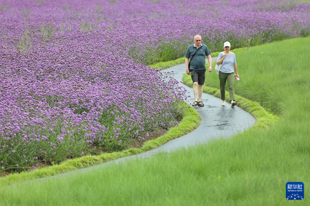 花“漾”夏日