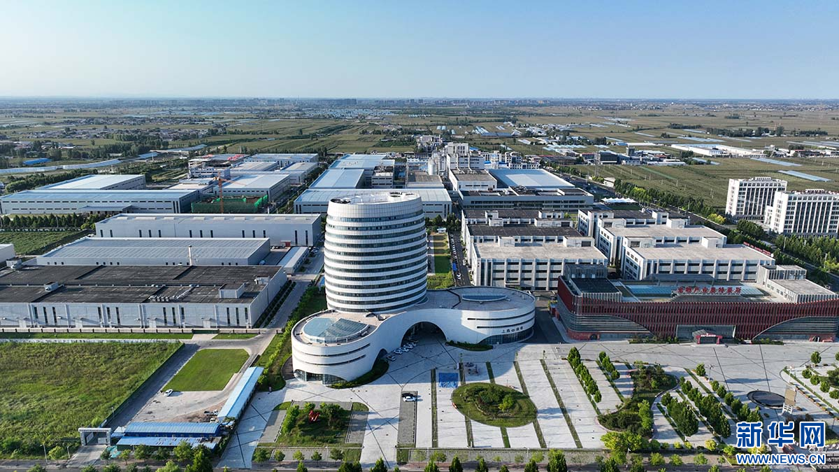 从质量提升到品牌破圈，看河北南和如何领跑宠物产业