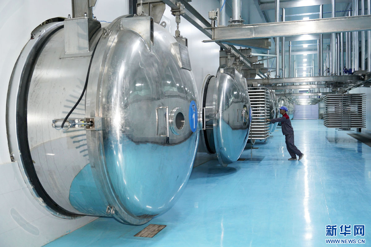 从质量提升到品牌破圈，看河北南和如何领跑宠物产业