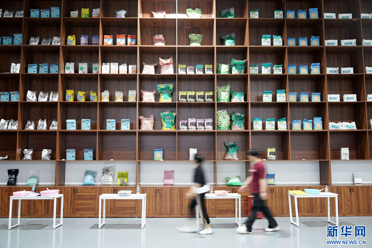 从质量提升到品牌破圈，看河北南和如何领跑宠物产业