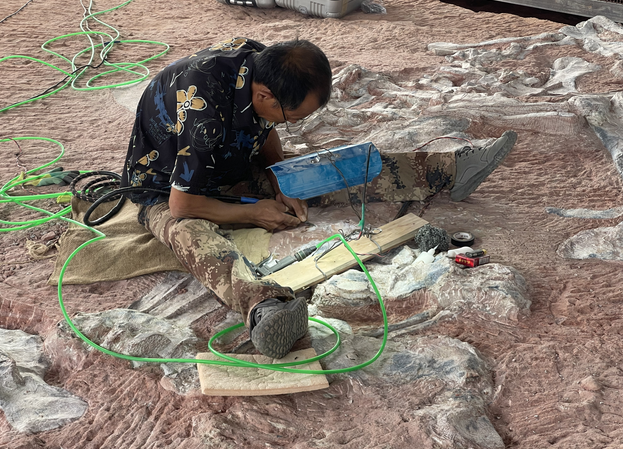 从“蜀道难”到“黔途畅” 重庆黔江迈入高铁时代