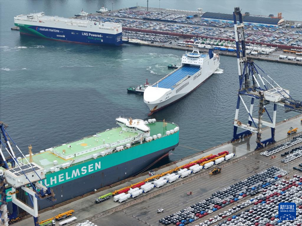 山东烟台：出口汽车装运忙