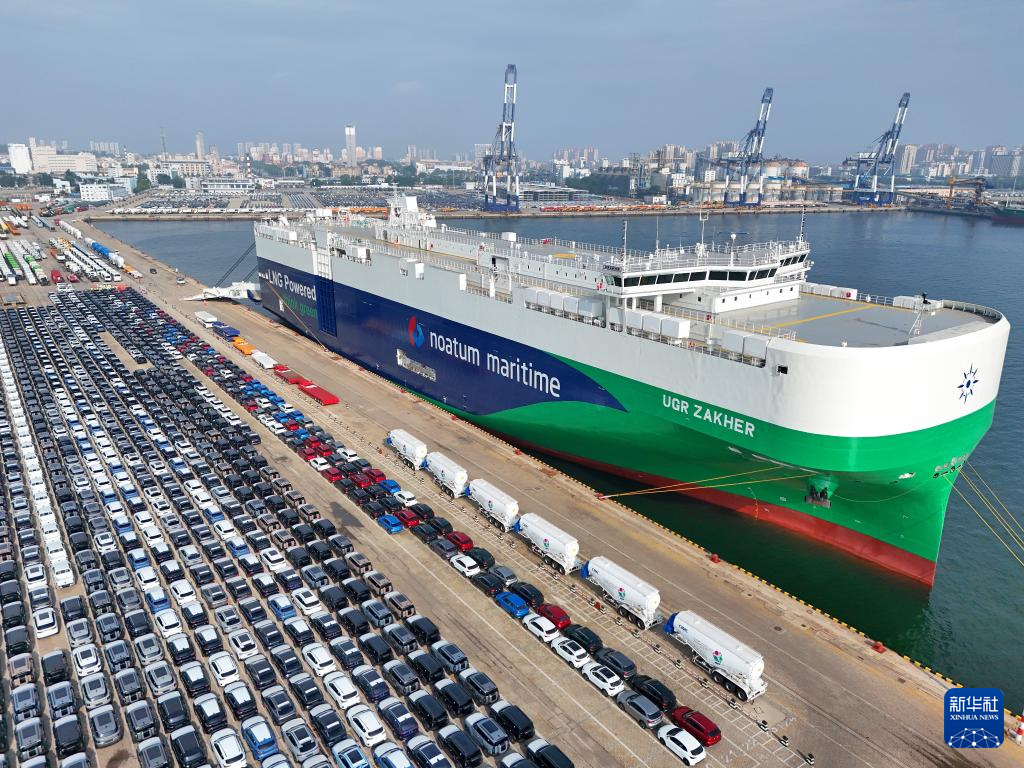 山东烟台：出口汽车装运忙