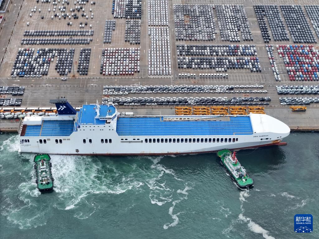 山东烟台：出口汽车装运忙