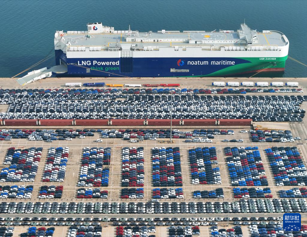 山东烟台：出口汽车装运忙