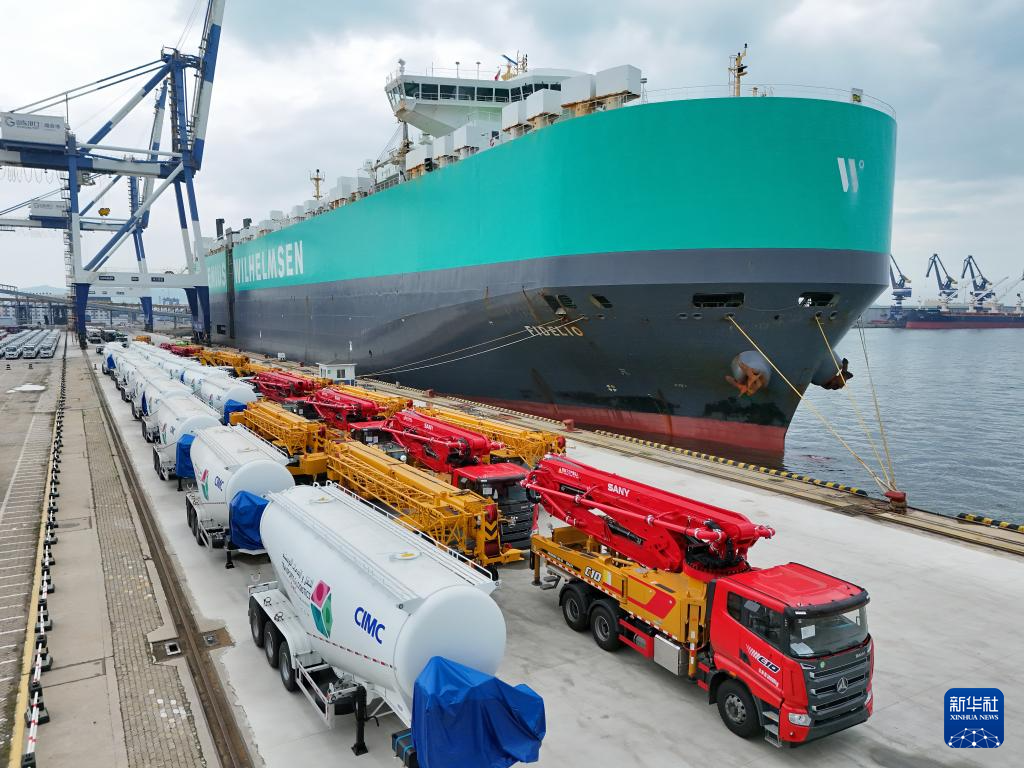 山东烟台：出口汽车装运忙