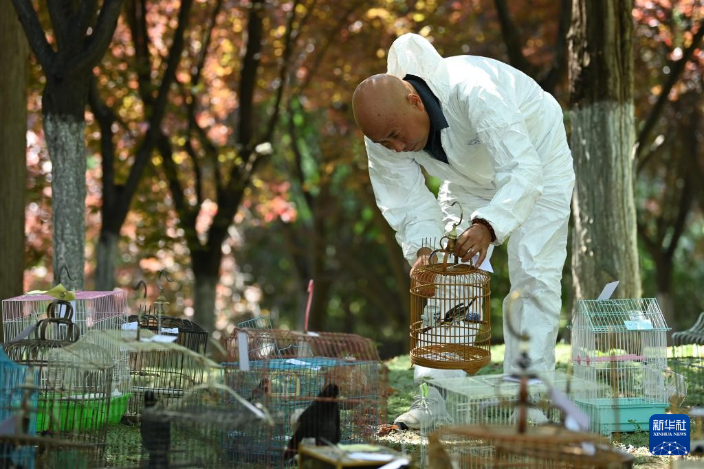 西安：放飞野生鸟类回归自然