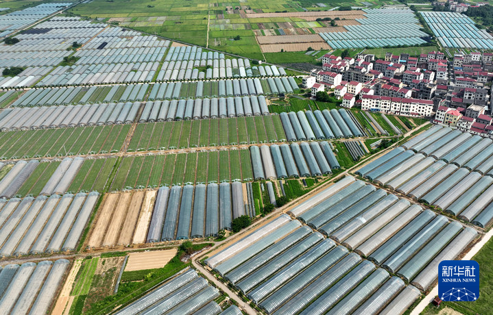 椒“傲”与药“强” 江西涉农产业向未来