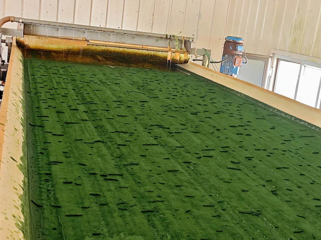 鄂托克旗:县域特色产业向新逐绿而行