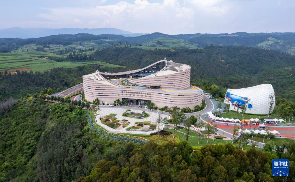 暑期探秘澄江化石地世界自然遗产博物馆