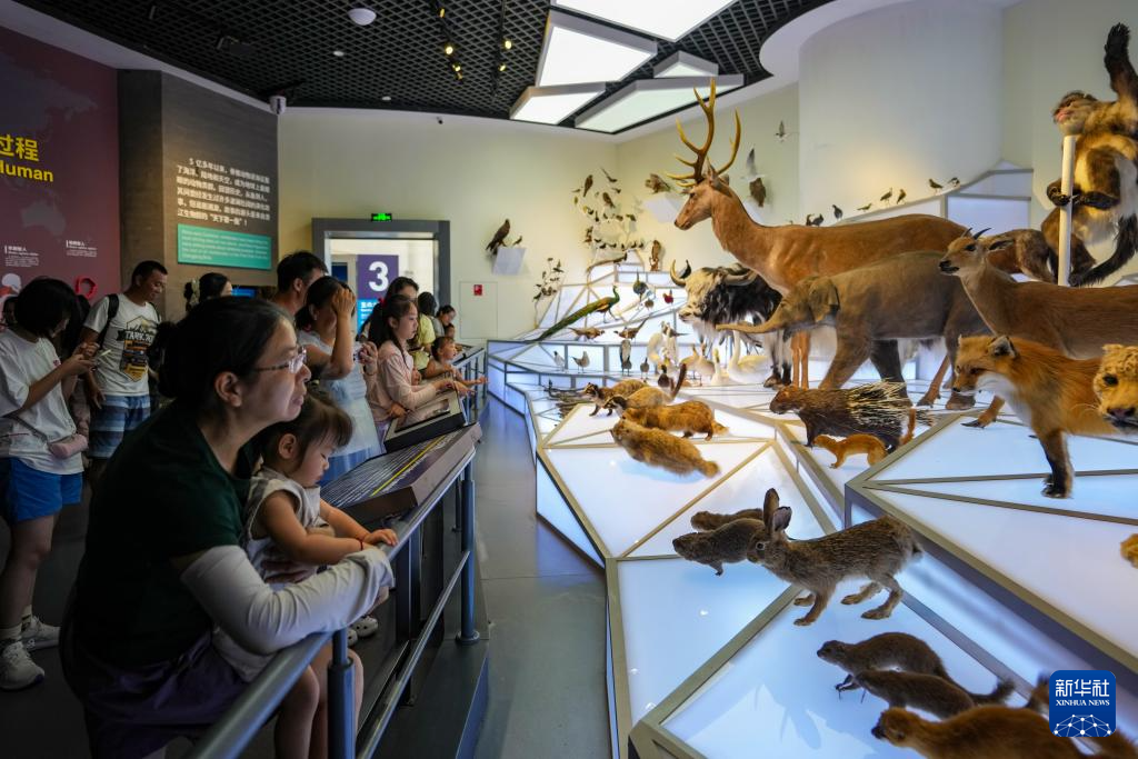 暑期探秘澄江化石地世界自然遗产博物馆