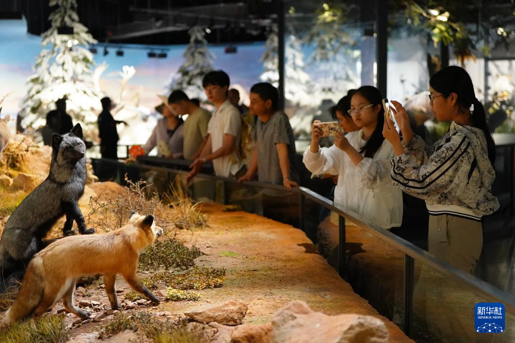 暑期探秘澄江化石地世界自然遗产博物馆